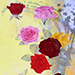 Yuko Abe Gallery